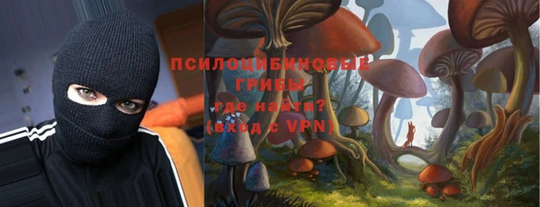 мескалин Козловка