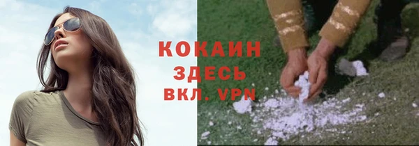 прущий лед Корсаков