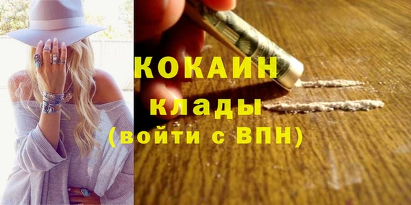 apvp Козельск