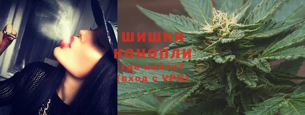 apvp Козельск