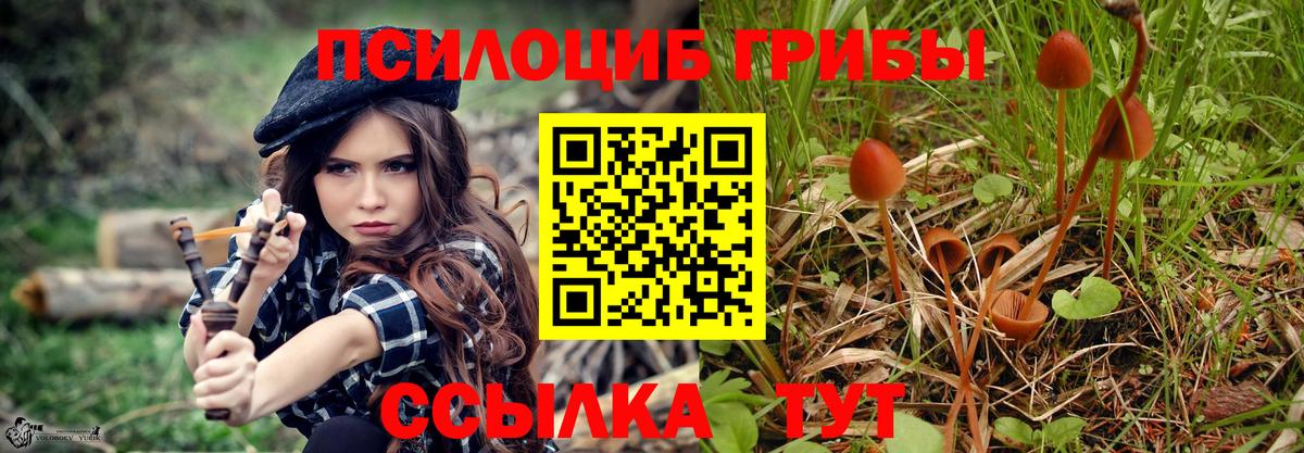 Псилоцибиновые грибы прущие грибы  закладки  Лабинск  Вход с VPN  Псилоцибиновые грибы Psilocybe 