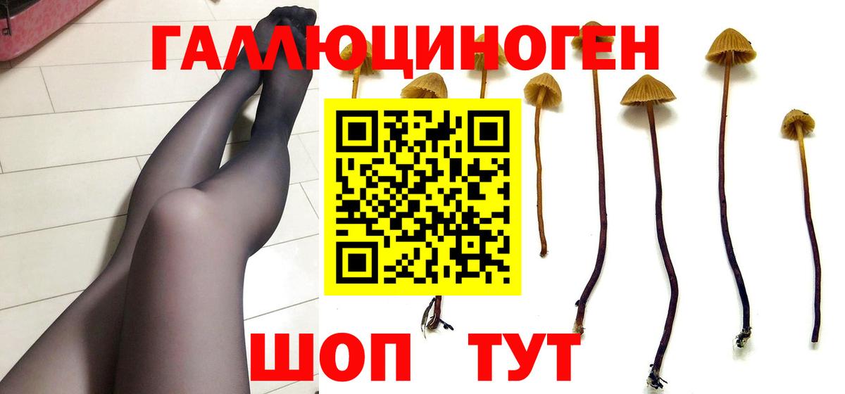Псилоцибиновые грибы Magic Shrooms Лабинск